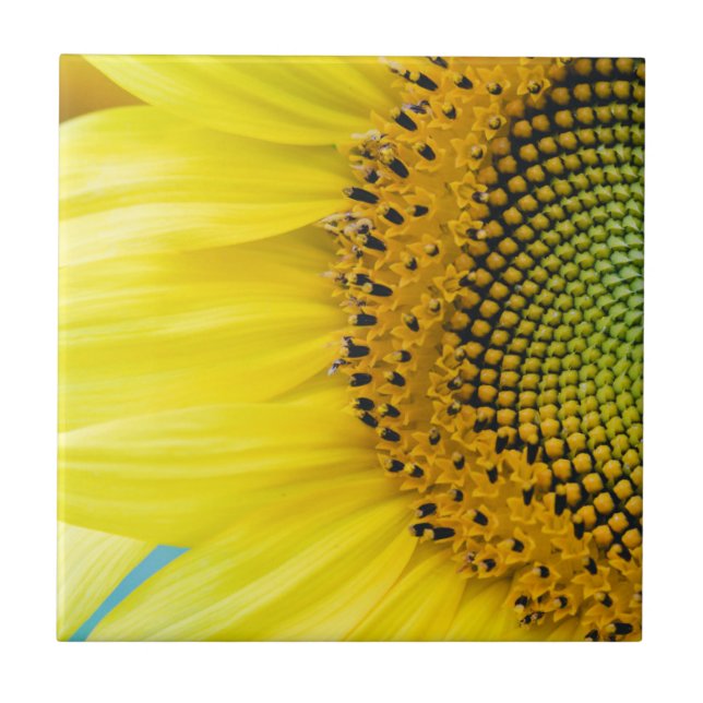 Bright Sunflower Tile (Front)