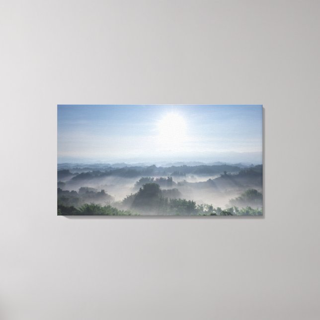 Bright Sunlight in the Bamboo Trees | Taiwan Canvas Print (Front)
