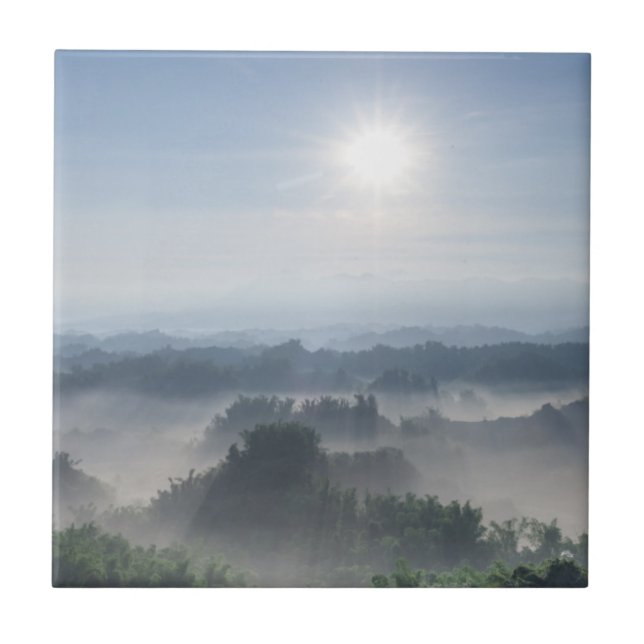 Bright Sunlight in the Bamboo Trees | Taiwan Tile (Front)