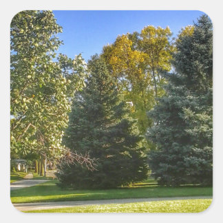 Bright Sunny Day In The Park Square Sticker