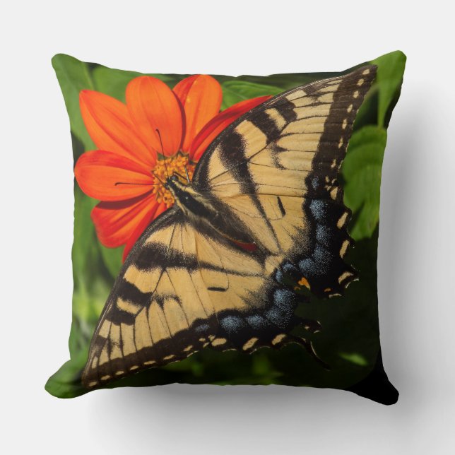 Bright sunny orange daisy with butterfly on throw pillow (Front)
