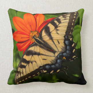 Bright sunny orange daisy with butterfly on throw pillow
