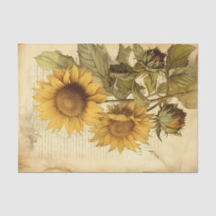 Bright Sunny Sunflowers on Vintage Script Tissue Paper
