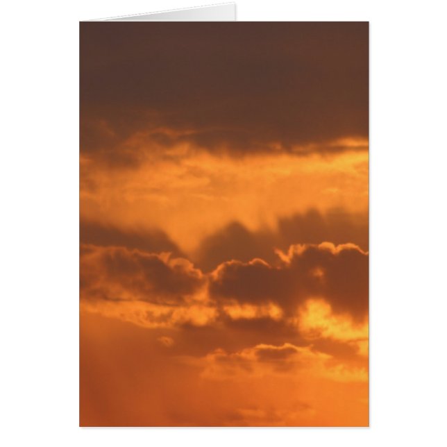 Bright Sunrise (Front)