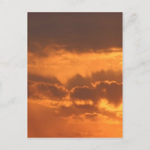 Bright Sunrise Postcard