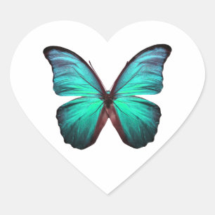 Bright Teal Butterfly Heart Sticker