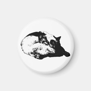 bright trace poise magnet