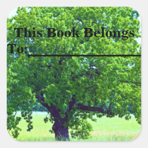 Bright Tree Book Label