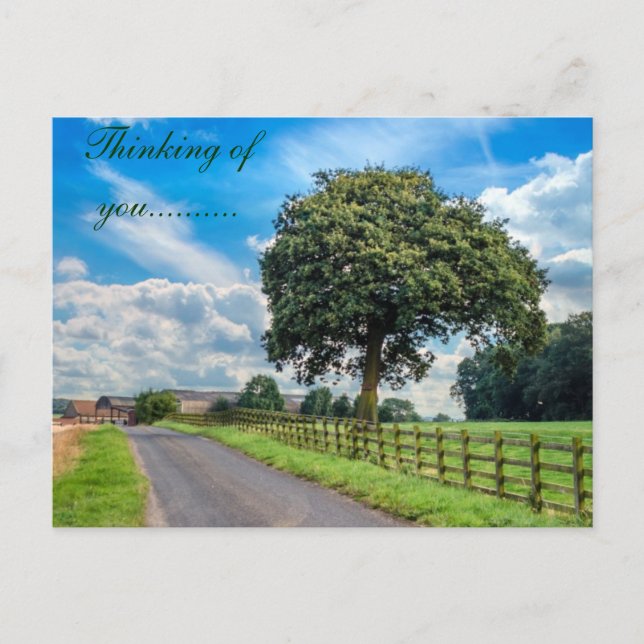 Bright Tree Postcard (Front)
