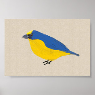 Bright Tropical  Bird Euphonia on Linen Canvas Poster