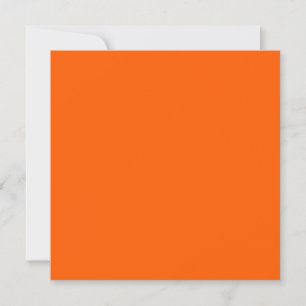 Bright True Orange Solid Colour  Card