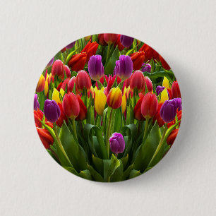 Bright Tulips 2 Inch Round Button