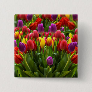 Bright Tulips 2 Inch Square Button