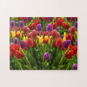 Bright Tulips Jigsaw Puzzle Puzzle