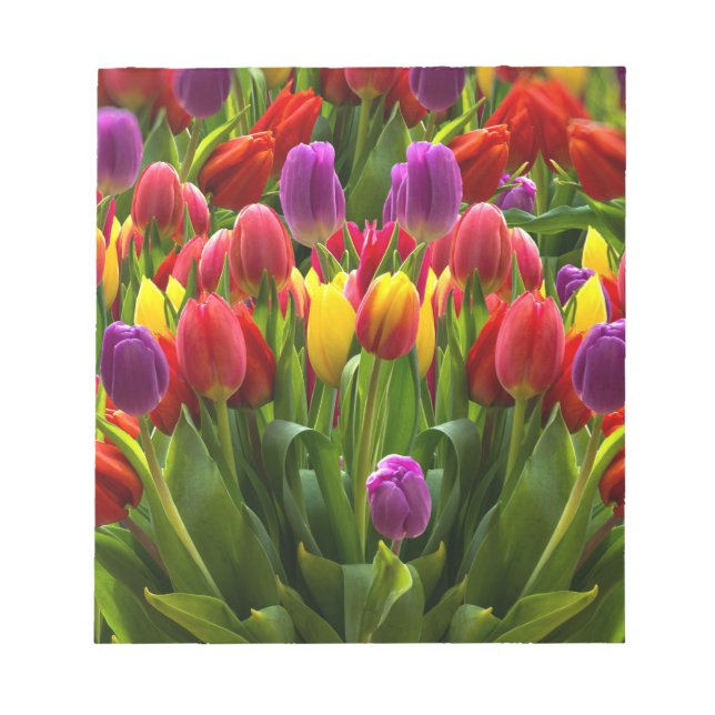 Bright Tulips Notepad (Front)