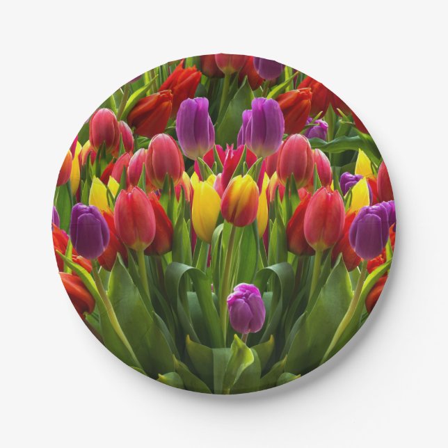 Bright Tulips Paper Plate (Front)