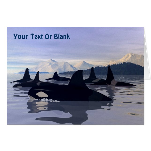 Bright Water Orca (Front Horizontal)