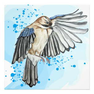 Bright watercolor blue jay photo print