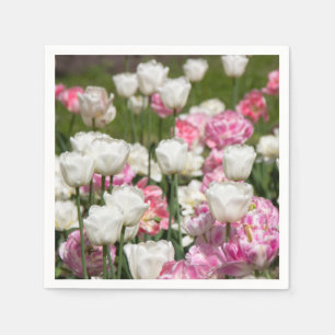 Bright white and pink tulips on a sunny day napkin