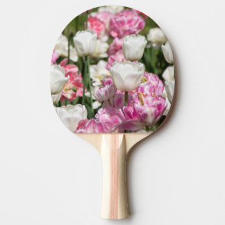 Bright white and pink tulips on a sunny day ping pong paddle