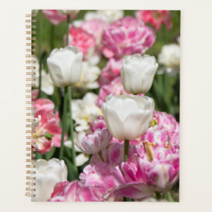 Bright white and pink tulips on a sunny day planner