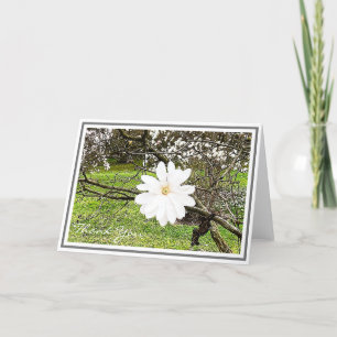 Bright White Star Magnolia Against Foliage Card