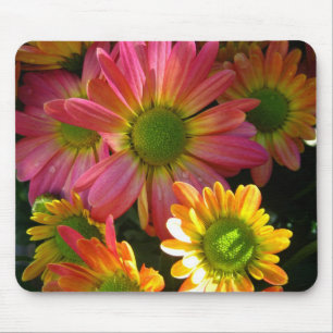 Bright Yellow and Pink Mums in Rain Mouse Pad