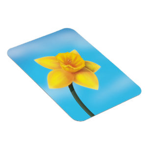 Bright Yellow Daffodil Magnet