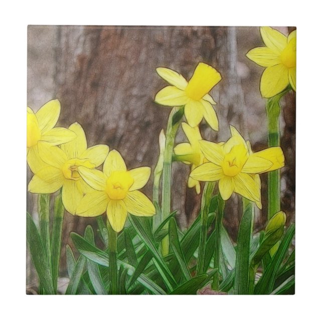 Bright Yellow Daffodils Tile (Front)