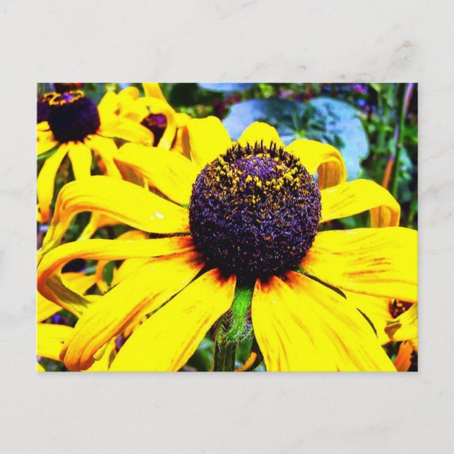 Bright Yellow Flower : Funchal, Portugal Postcard (Front)