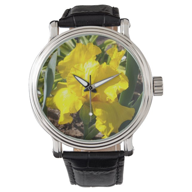Bright Yellow Iris, Watch (Front)