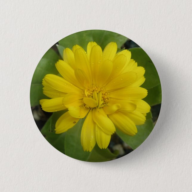 Bright Yellow Marigold Button (Front)