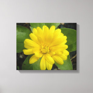 Bright Yellow Marigold Canvas Print