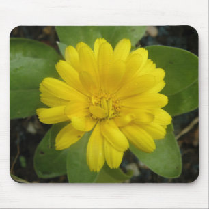 Bright Yellow Marigold Mousepad