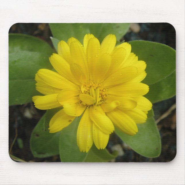Bright Yellow Marigold Mousepad (Front)