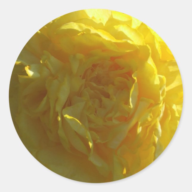 Bright Yellow Peony Peonies Flower Sticker (Front)