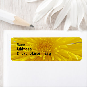 Bright Yellow Spike Dahlia Close Photo Custom