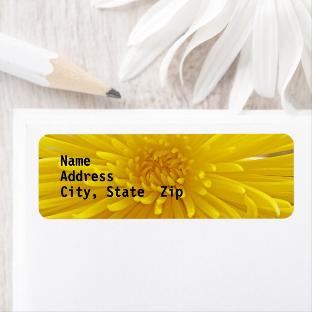 Bright Yellow Spike Dahlia Close Photo Custom (En situation)