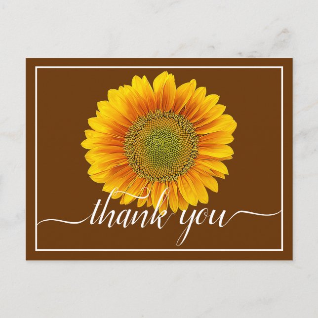 Bright Yellow Sunflower Brown Background Thank You Postcard (Front)