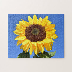Bright yellow sunflower jigsaw puzzle