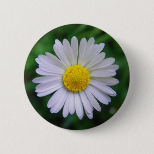 Bright yellow-white daisy 2 inch round button