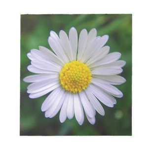 Bright yellow-white daisy notepad