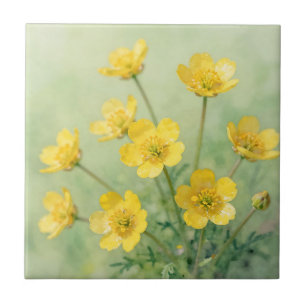 Bright Yellow Wildflower Spring Meadow Tile