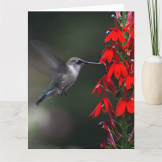 Brighten someone's day with this lovely card!! card