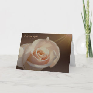 Brighten The Day Cards