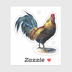 Brightly Colored Vintage Rooster