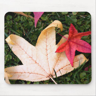 Brightly Colorful Maple Leaf Mouse Pad