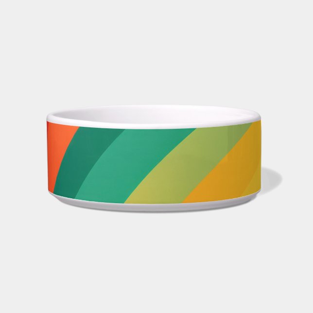 Brightly coloured arcs background bowl (Front)