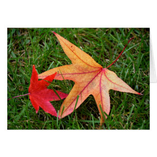 Brightly Colourful Maple Leaf