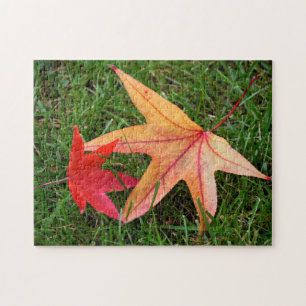 Brightly Colourful Maple Leaf Jigsaw Puzzle
